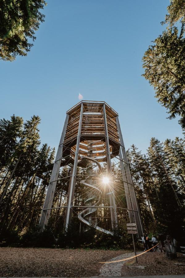 Lipno Nad Vltavou - Apartman 23 - Wifi, Parking, Netflix Exterior foto